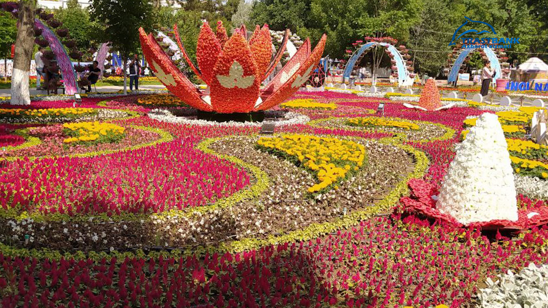 festefal 3.jpg festefal 3.jpg